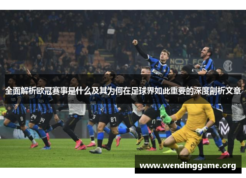 全面解析欧冠赛事是什么及其为何在足球界如此重要的深度剖析文章 全面解析欧冠赛事是什么及其为何在足球界如此重要的深度剖析文章
